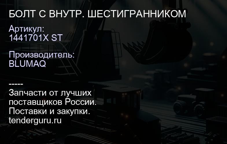 1441701X ST БОЛТ С ВНУТР. ШЕСТИГРАННИКОМ | купить запчасти